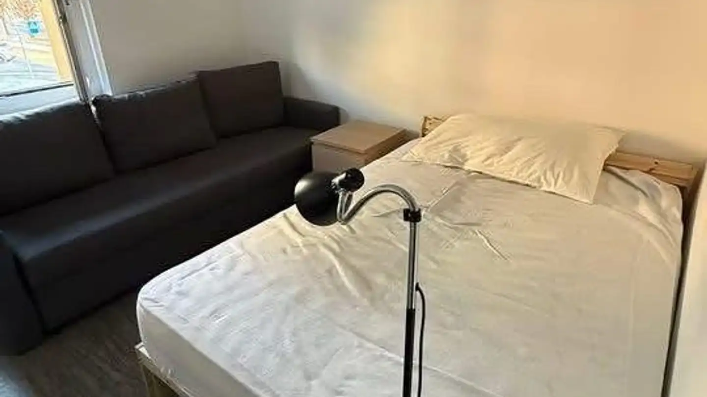 Single room for rent - Untere Zelglistrasse 20, 8600 Dübendorf - Photo 2