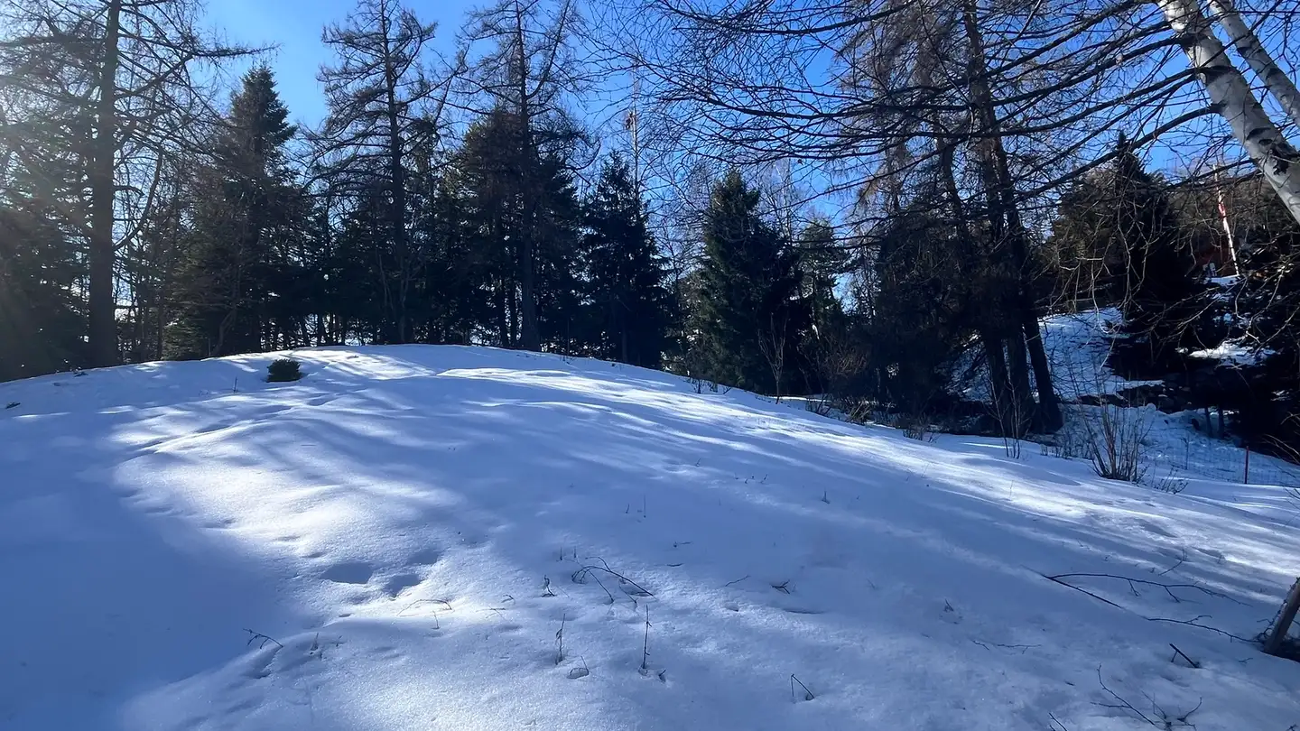 Constructible plot for sale - 1911 Ovronnaz - Photo 4