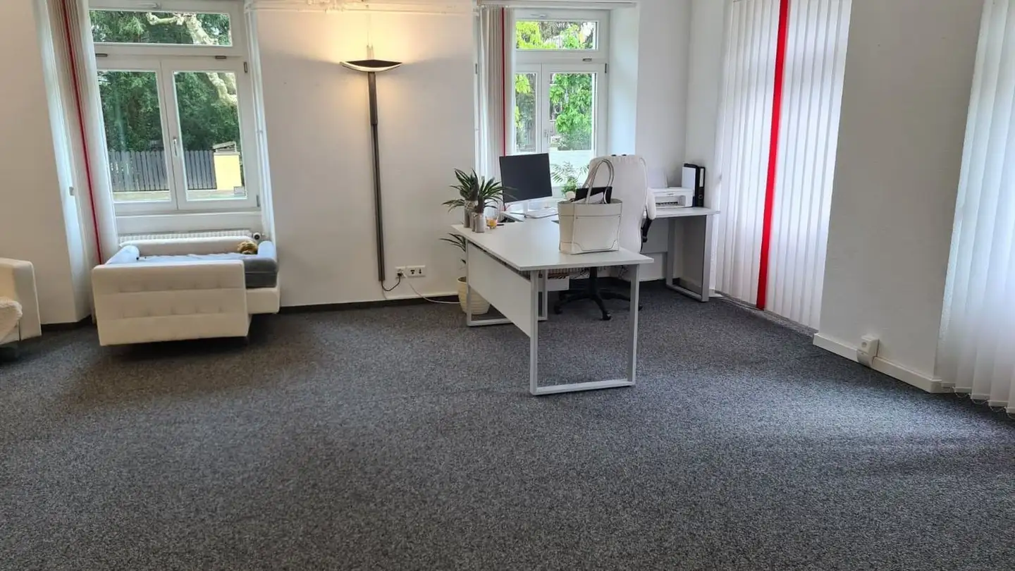 Spazio ufficio in affitto - Promenadestrasse 6, 5330 Bad Zurzach - Photo 3