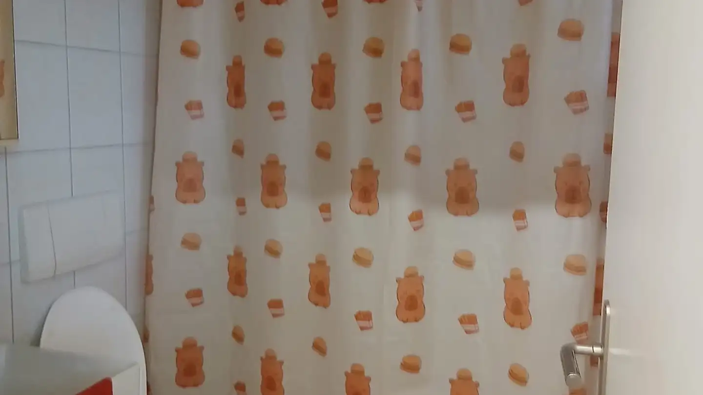 Wohnung mieten - 8197 Rafz - Foto 4