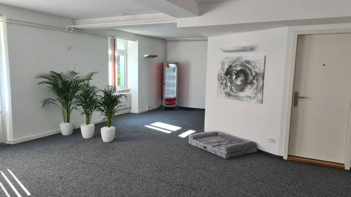 Spazio ufficio in affitto - Promenadestrasse 6, 5330 Bad Zurzach - Photo 4