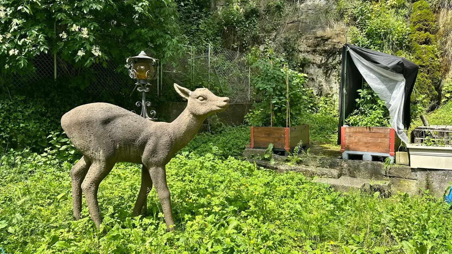 Appartamento in vendita - 1700 Fribourg - Photo 3