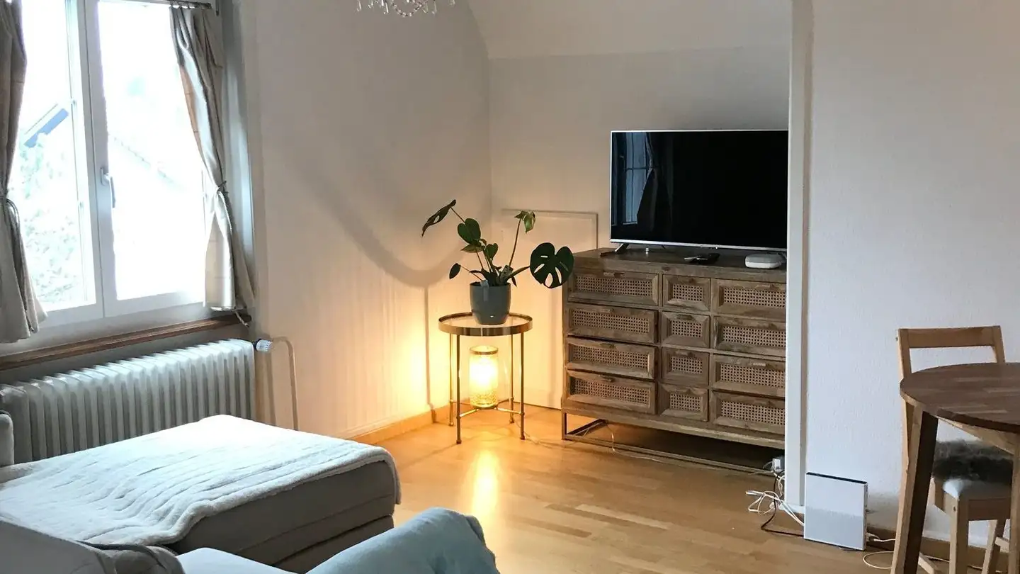 Dachgeschosswohnung mieten - Loorenstrasse, 8053 Zürich