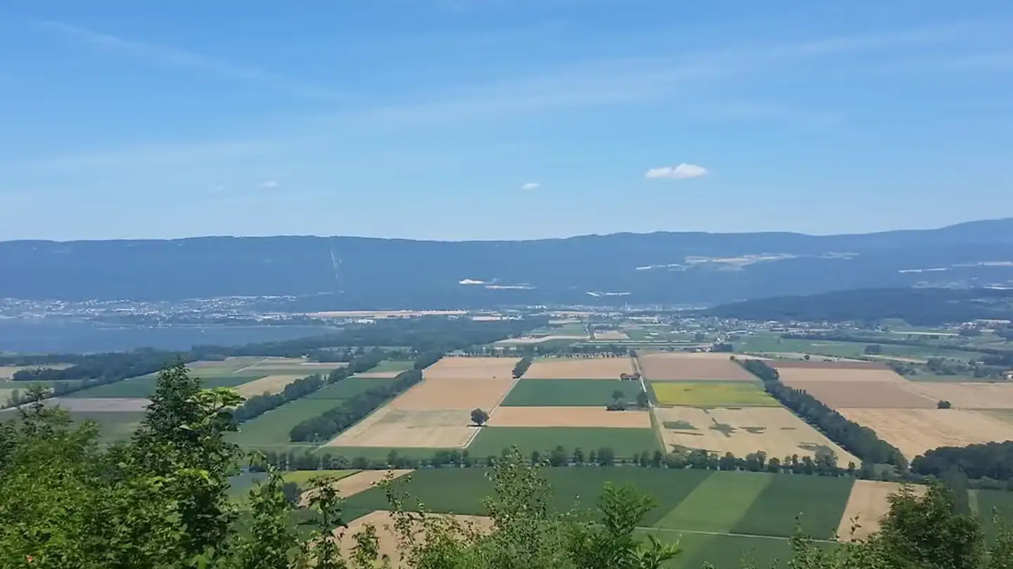 Appartement à louer - Bielstrasse 14, 3237 Brüttelen