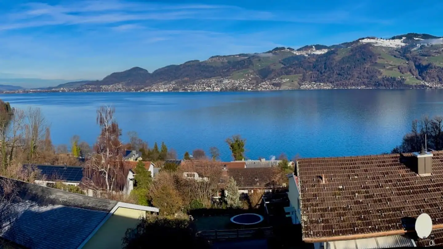 Einfamilienhaus kaufen - 3700 Spiez - Foto 2