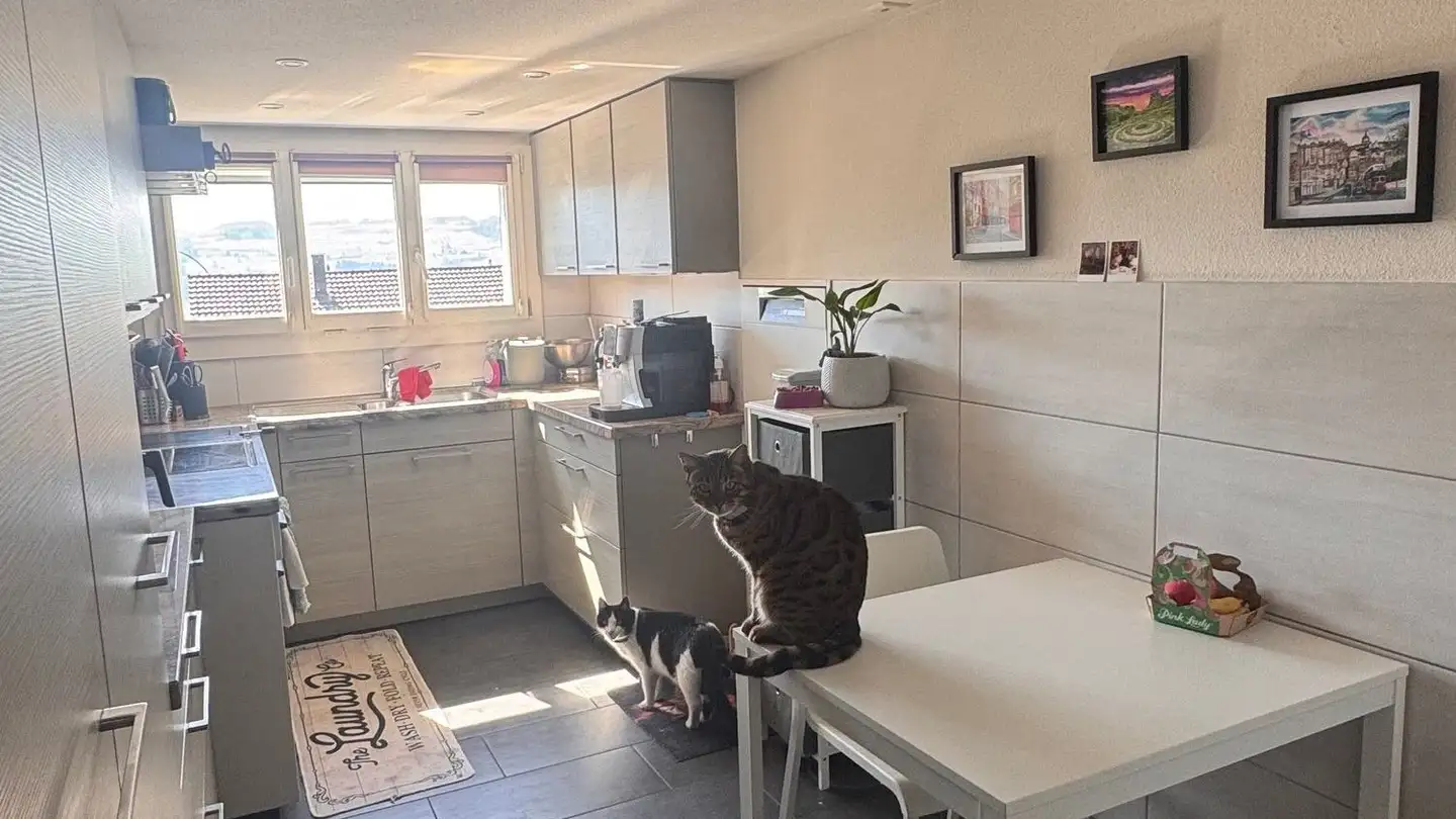 Appartement à louer - Helgenbühlstrasse 1, 6277 Kleinwangen - Photo 3