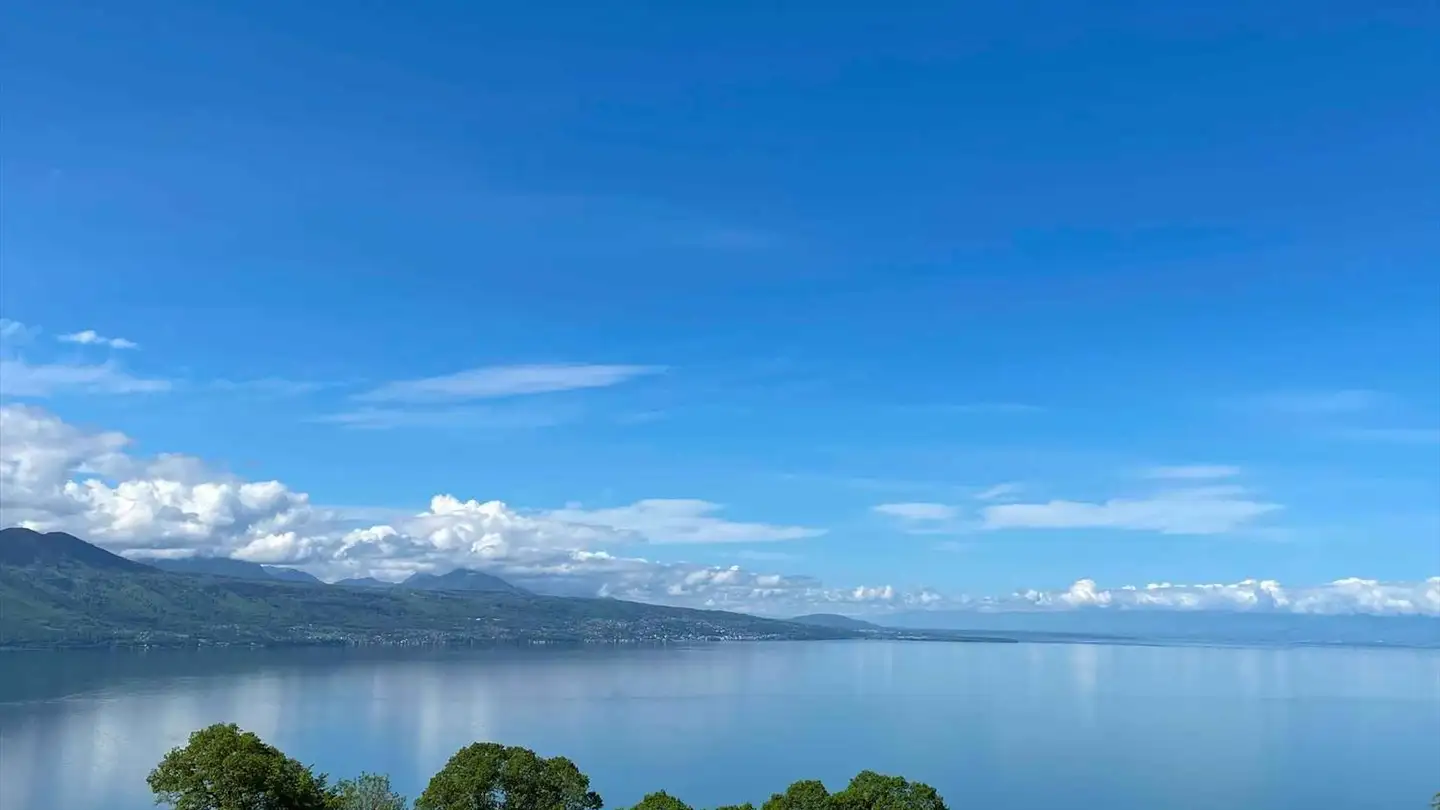 Appartement à vendre - 1071 Chexbres - Photo 3