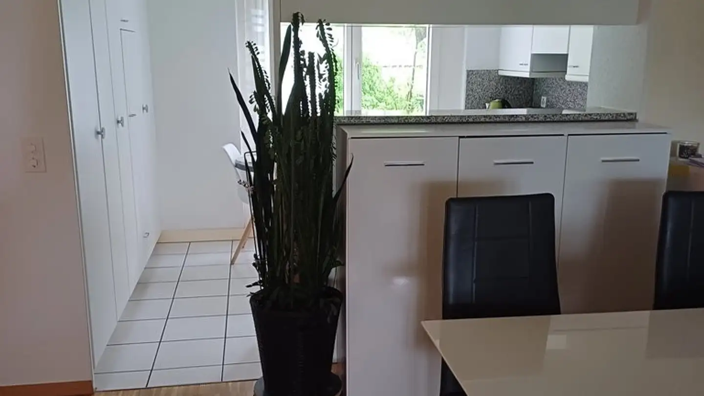 Appartamento in affitto - Hintere Engehaldenstrasse 10, 3004 Bern - Photo 4