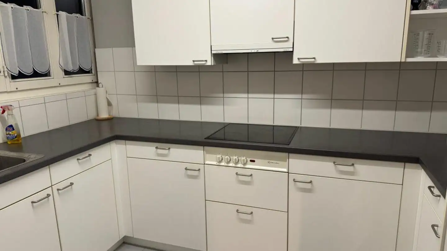 Appartamento in affitto - Werkstrasse, 6102 Malters - Foto 2