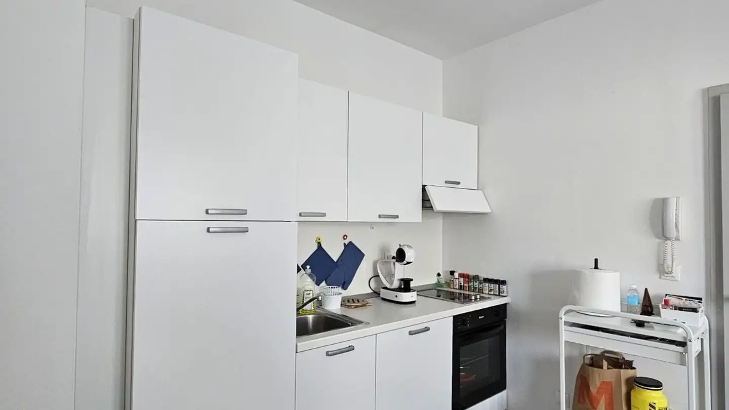 Furnished apartment for rent - Via Guglielmo Canevascini 26, 6900 Lugano - Photo 3