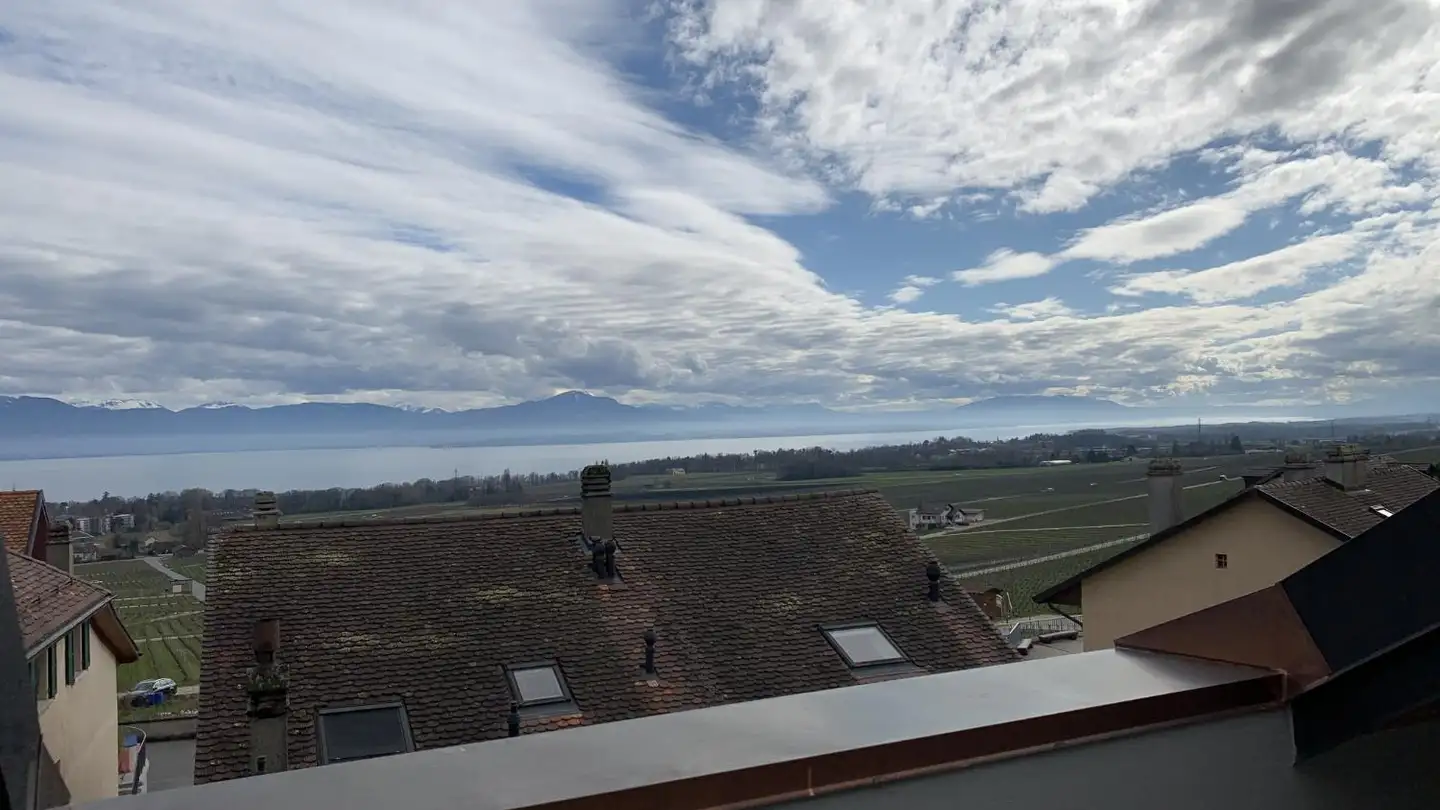 Wohnung kaufen - Rue Des Courtis 12, 1180 Tartegnin - Foto 2