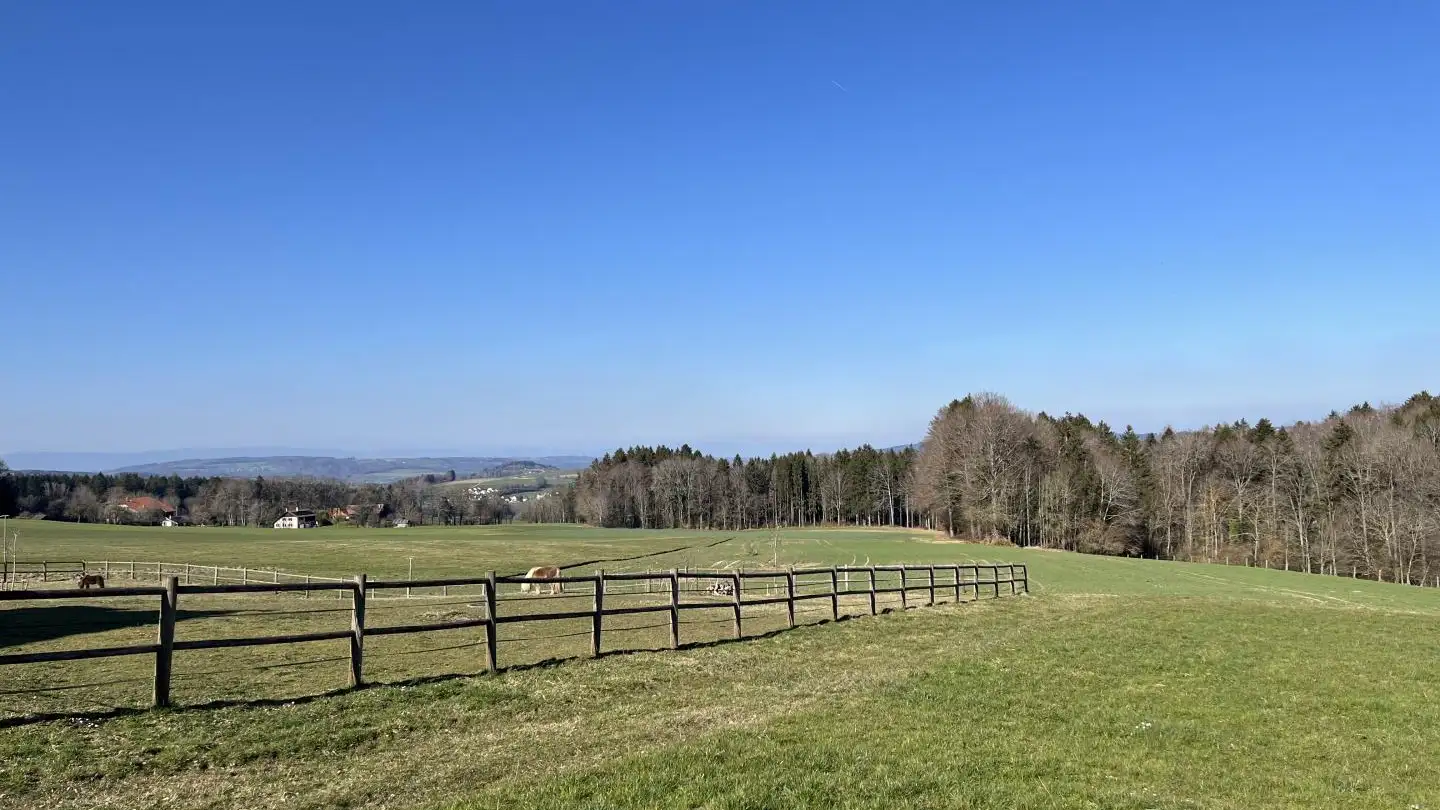 Appartement à vendre - 1080 Les Cullayes - Photo 4