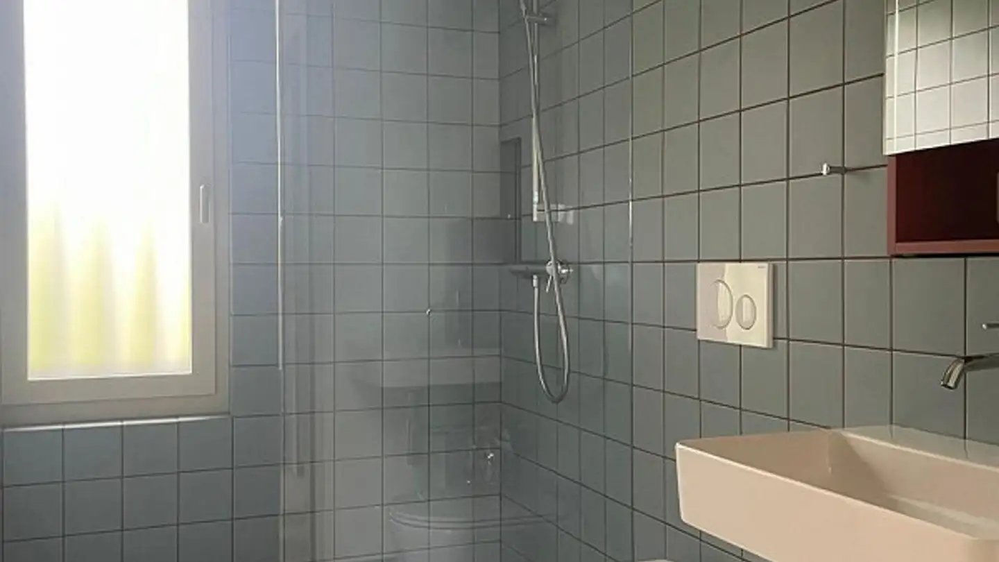 Duplex in affitto - Langenhagweg 28a, 4123 Allschwil - Photo 3