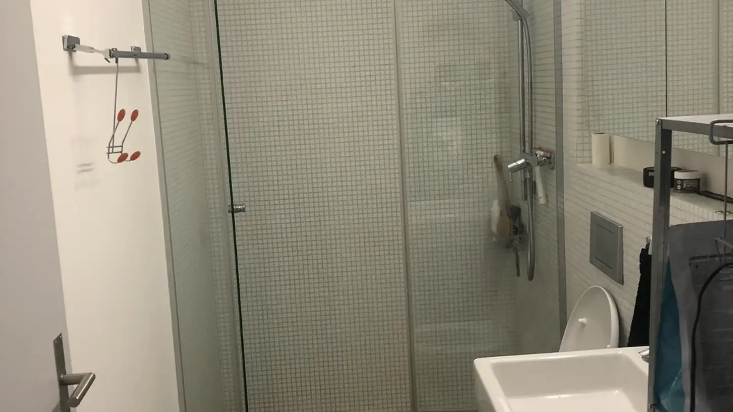 Single room for rent - Naphtastrasse 6, 8005 Zürich - Photo 4