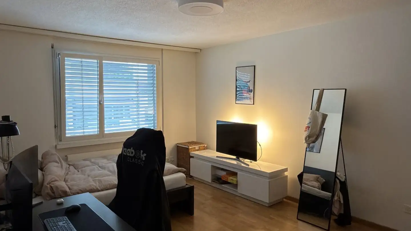Chambre à louer - Birkenstrasse 11, 6003 Luzern