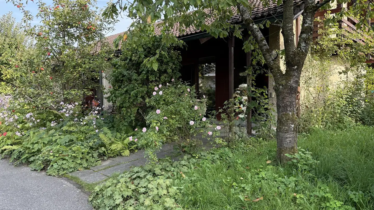 Casa a gradini in affitto - 6045 Meggen - Photo 2