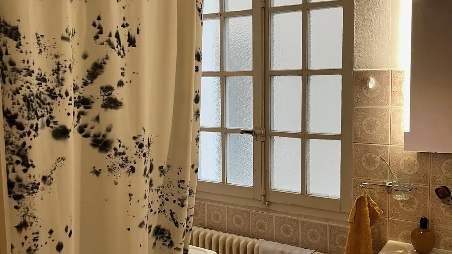 Apartment for rent - Stalden 7, 1700 Fribourg - Photo 2