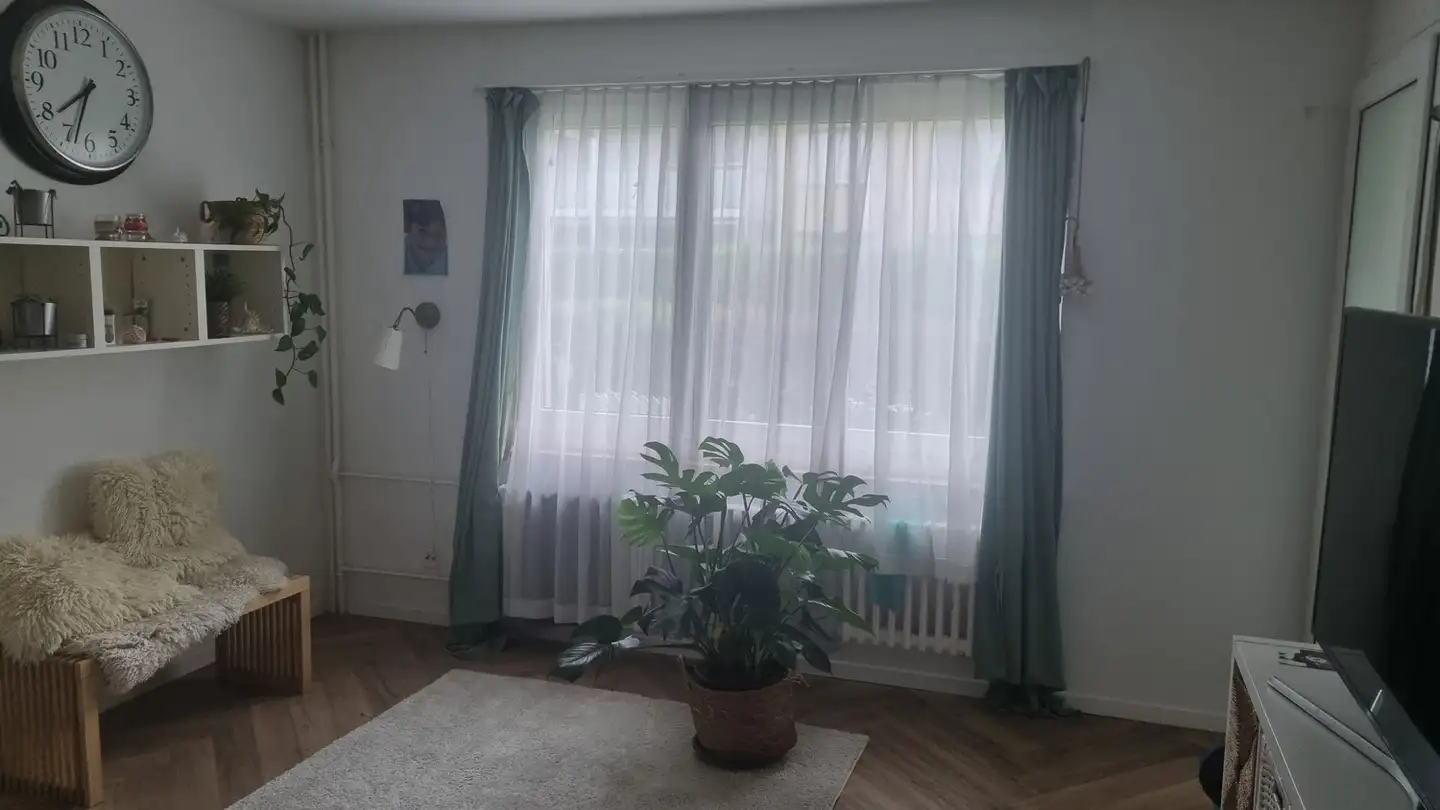 Appartamento in affitto - Salstrasse 92, 8400 Winterthur