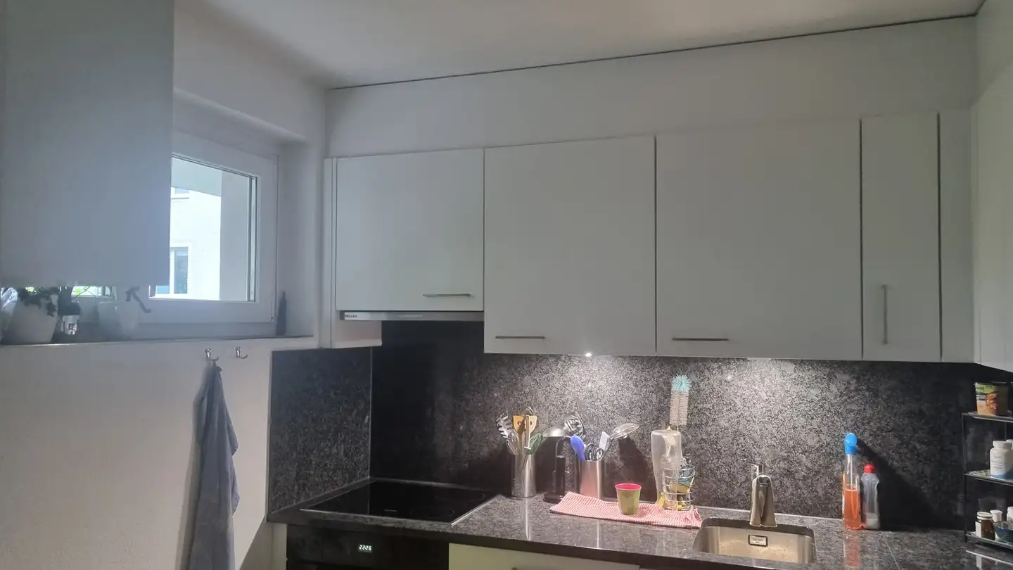 Appartamento in affitto - Salstrasse 92, 8400 Winterthur - Foto 4