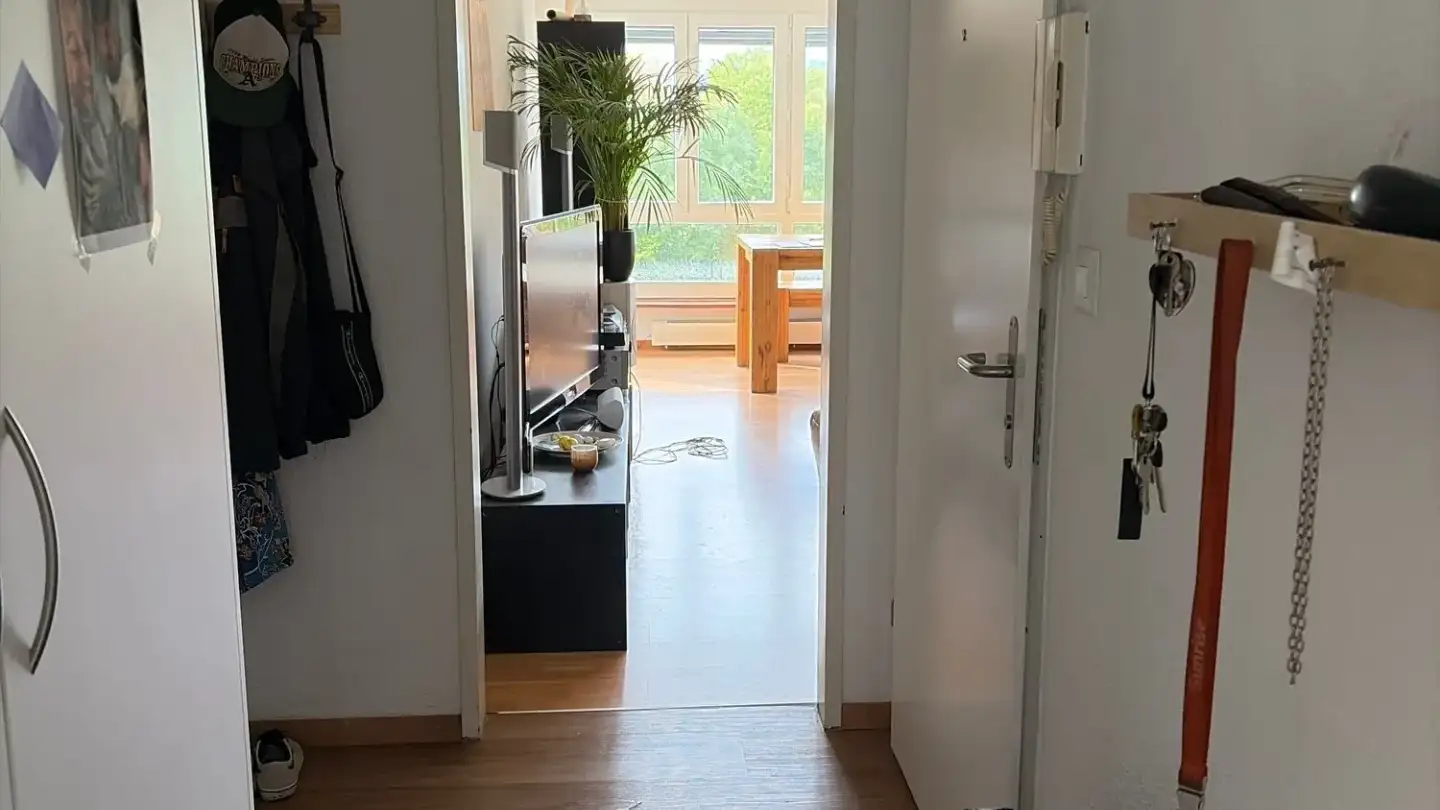 Appartement à louer - Wolfkehlenstrasse 19, 8266 Steckborn - Photo 2
