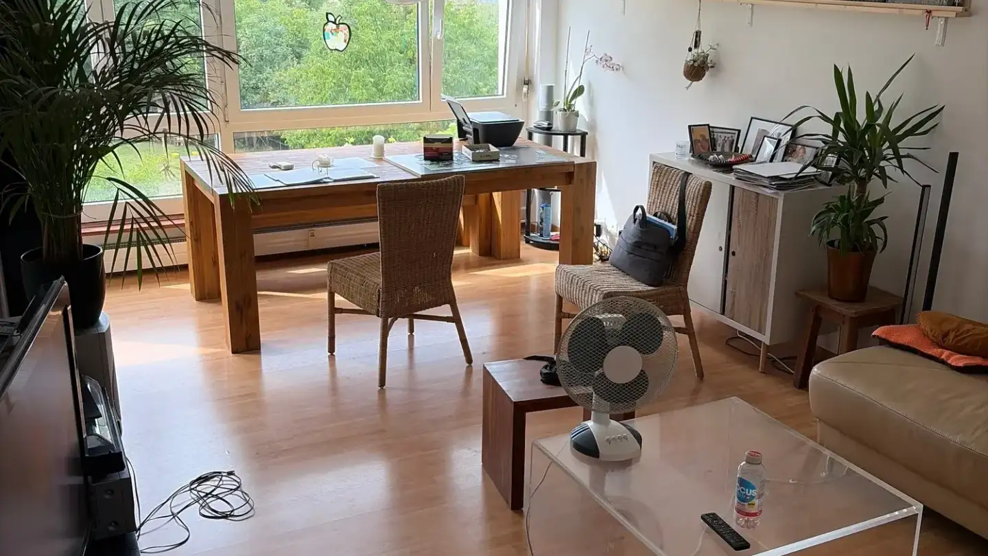Appartement à louer - Wolfkehlenstrasse 19, 8266 Steckborn - Photo 3