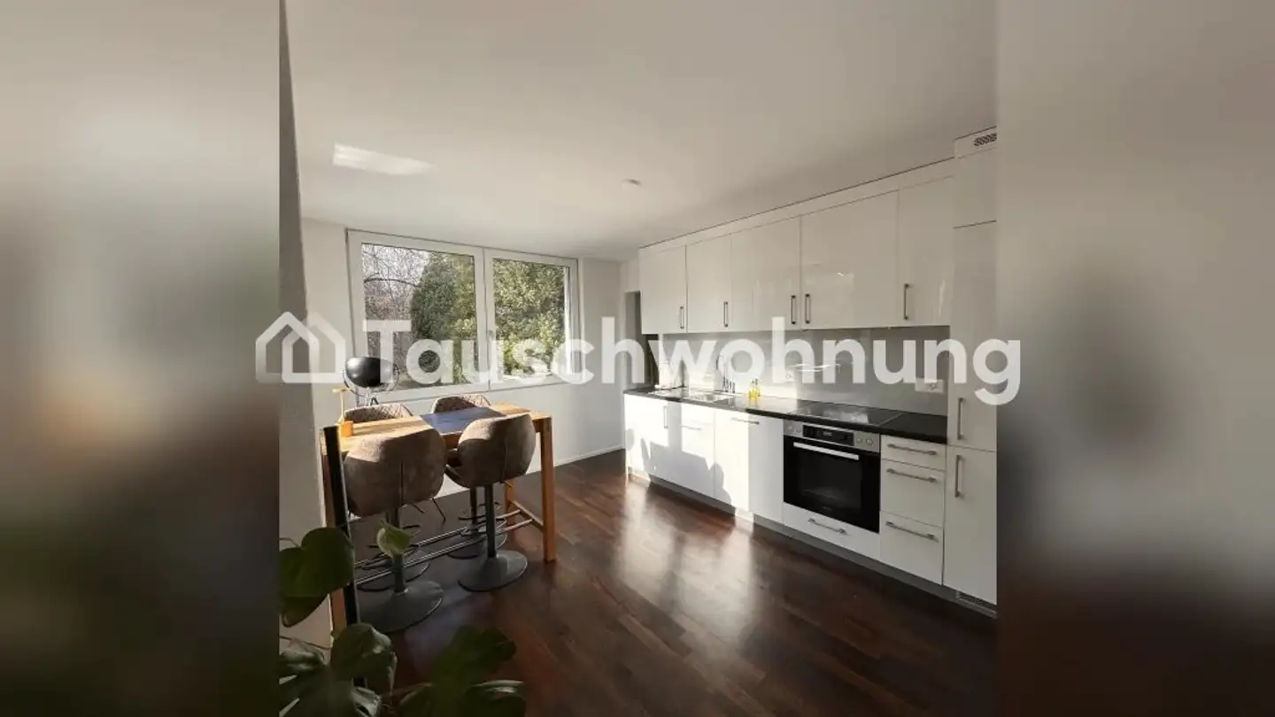 Loft in affitto - 8953 Dietikon