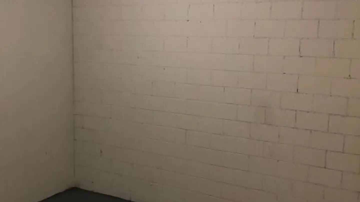 Sala hobby in affitto - Baumgartenstrasse, 8880 Walenstadt - Photo 2