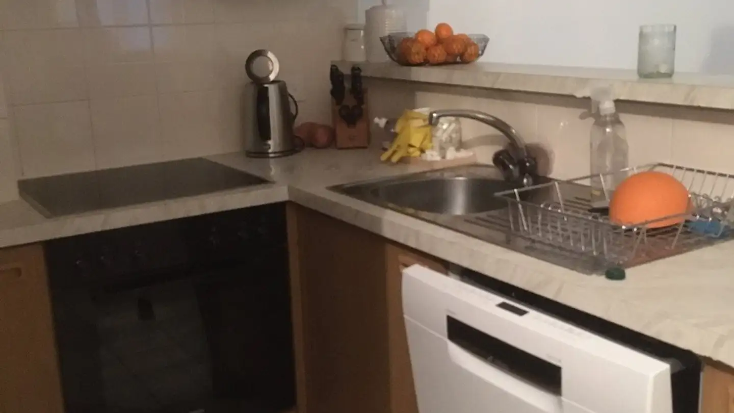 Appartamento in affitto - 1166 Perroy - Foto 3