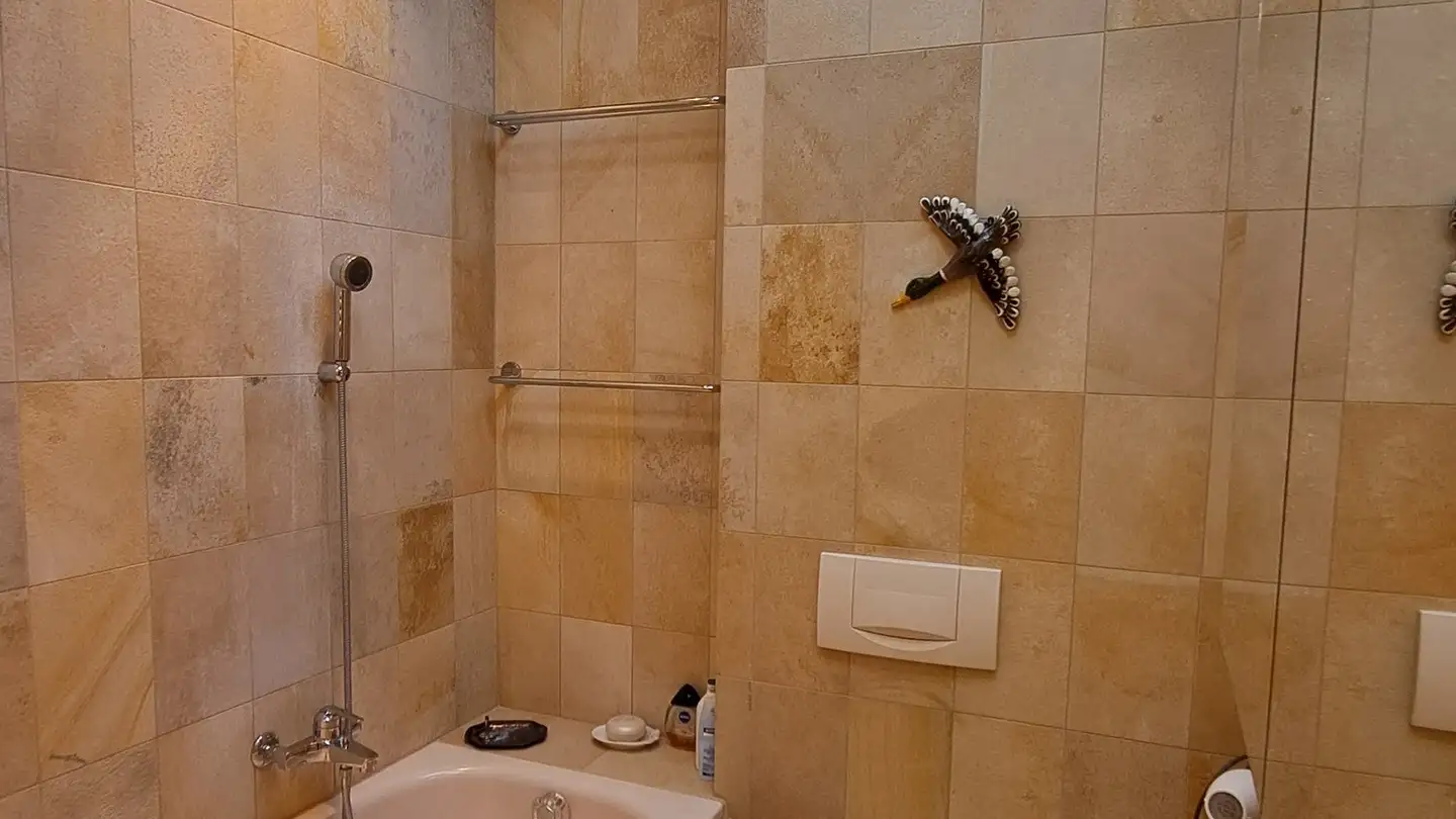 Single house for sale - Furkastrasse 27, 4054 Basel - Photo 3