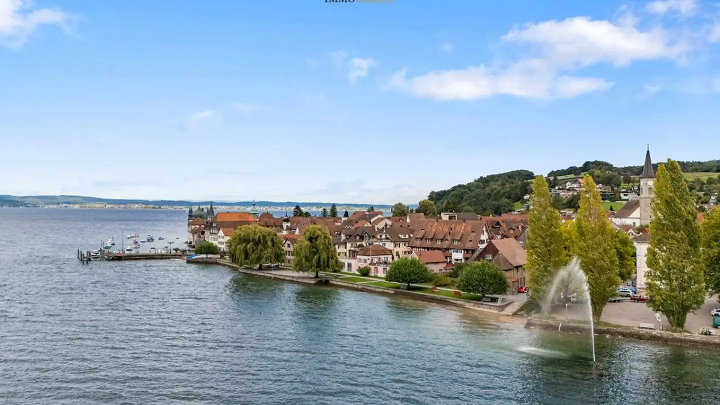 Maison individuelle à vendre - Kirchgasse 15, 8266 Steckborn - Photo 4