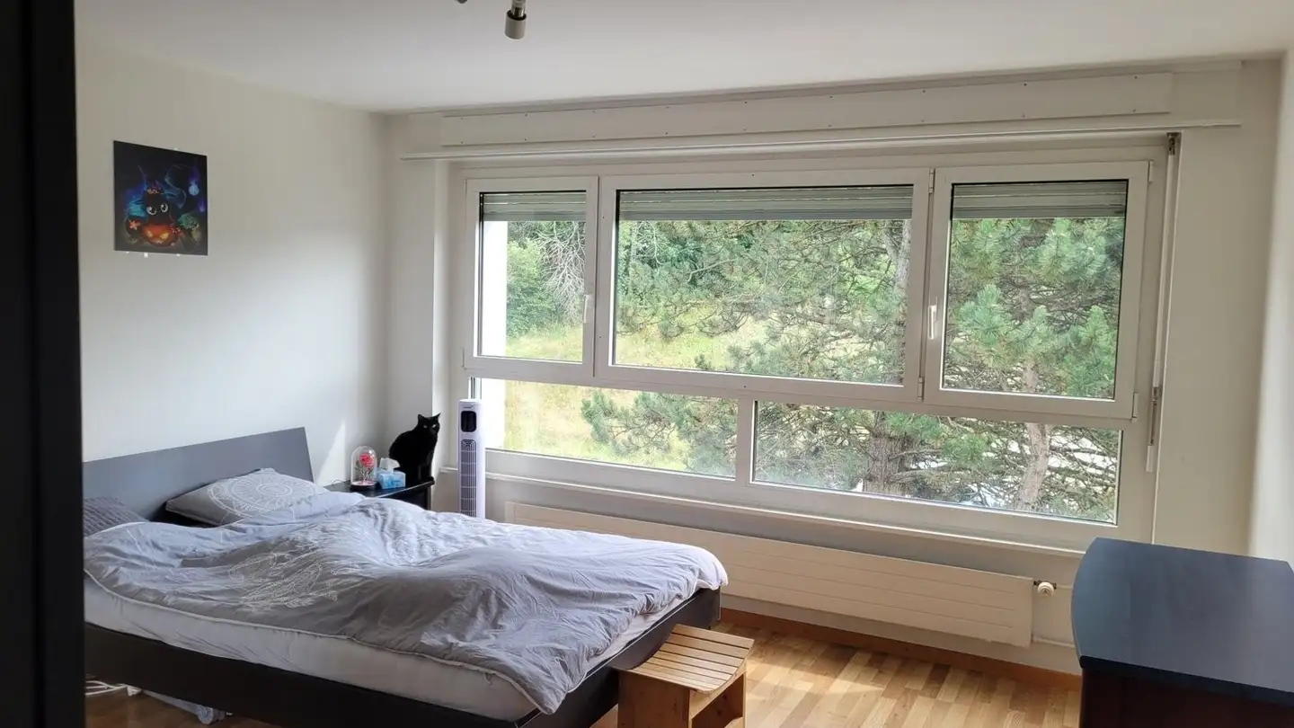 Wohnung mieten - 2300 La Chaux-de-Fonds