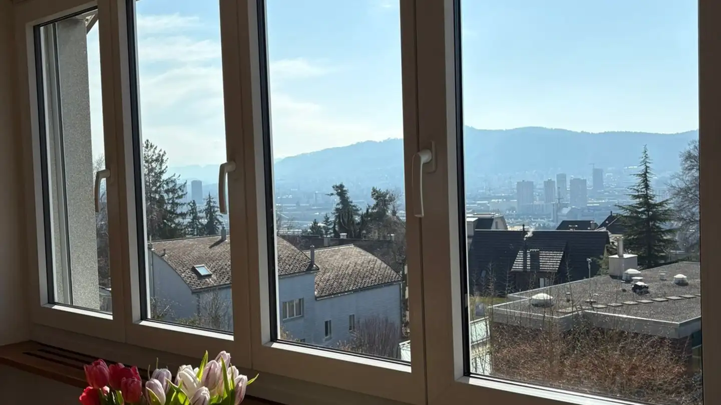 Appartement à louer - Brunnwiesenstrasse 46, 8049 Zürich - Photo 2