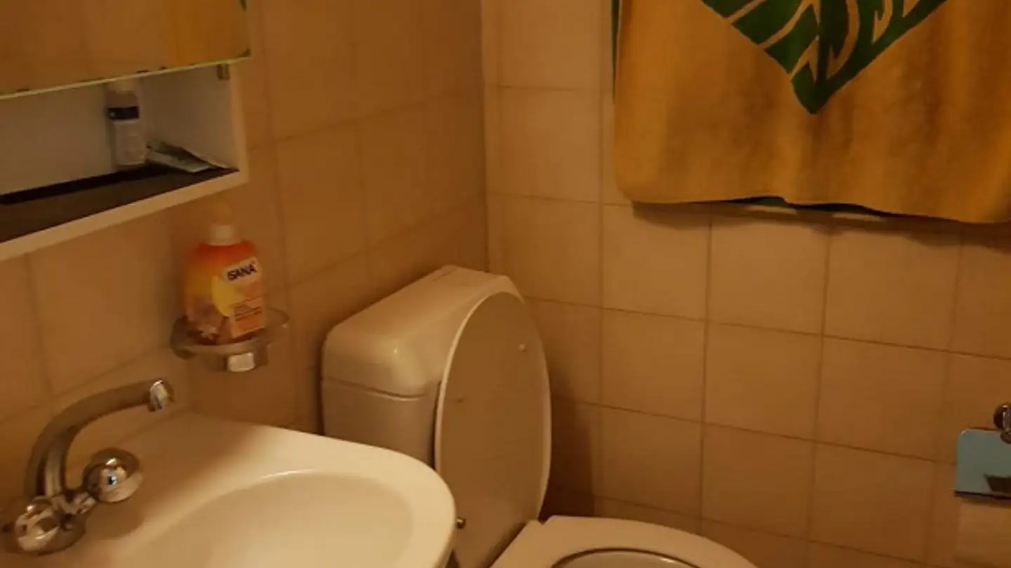 Wohnung mieten - Bernstrasse 123, 3400 Burgdorf - Foto 4