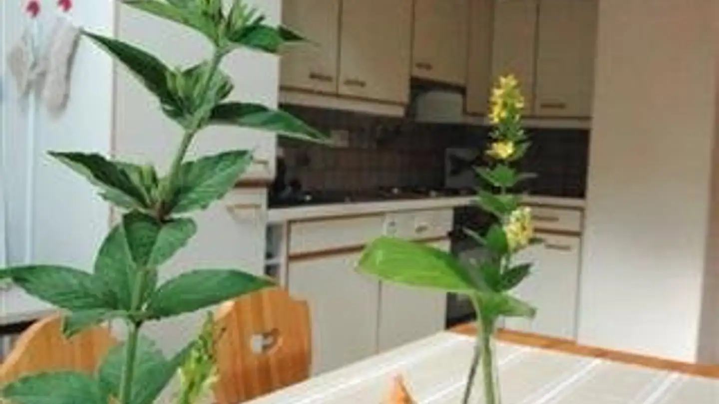 Apartment for rent - La Combe 49, 2889 Ocourt - Photo 3