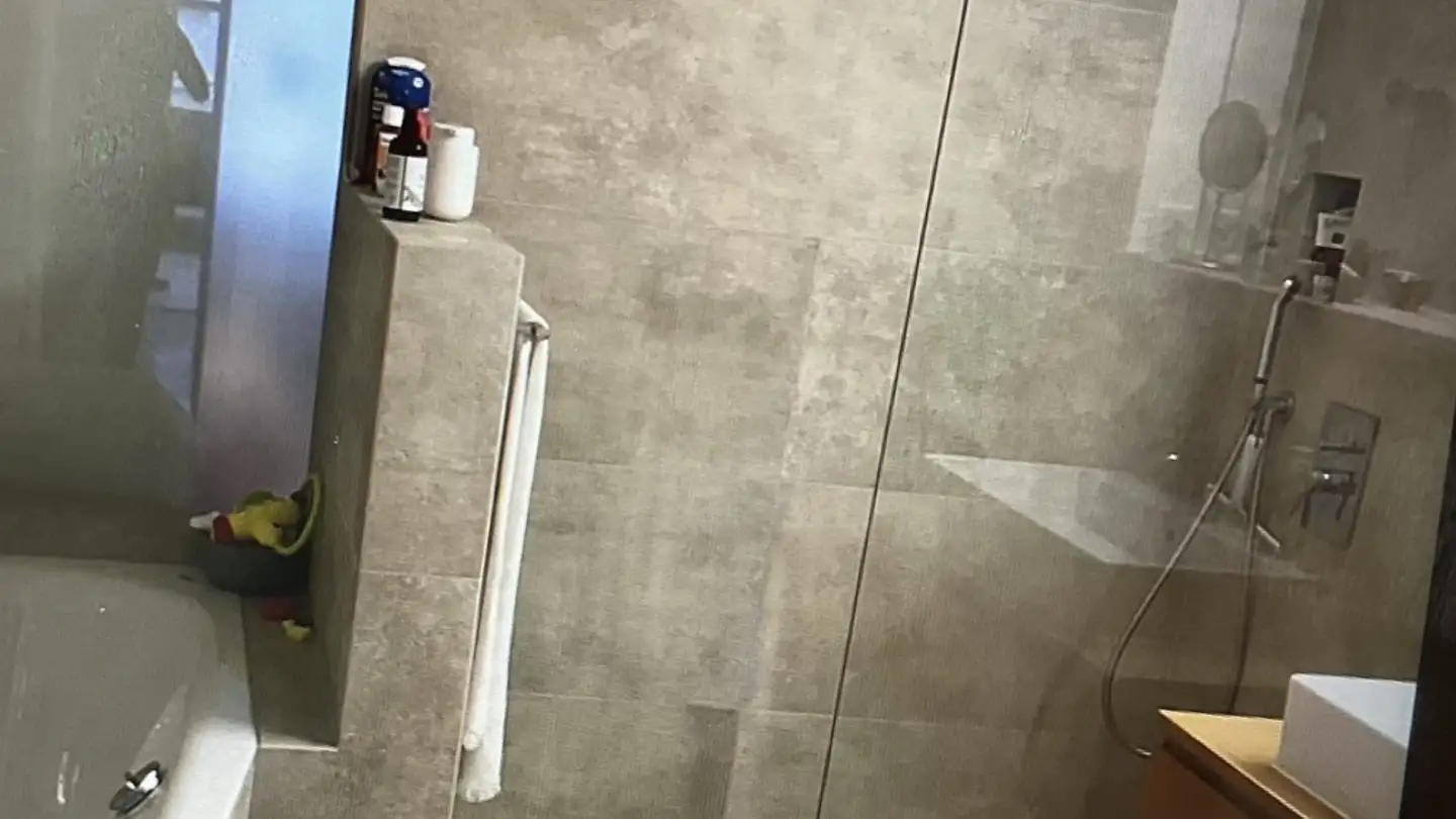 Appartamento in affitto - Langgrütstrasse, 8047 Zürich - Photo 2