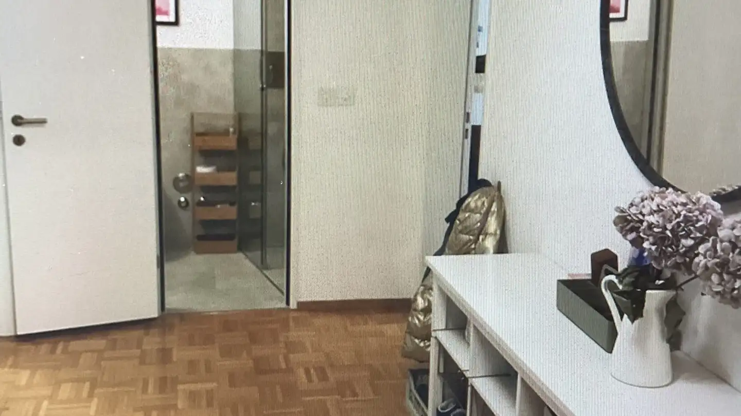 Appartamento in affitto - Langgrütstrasse, 8047 Zürich - Photo 3