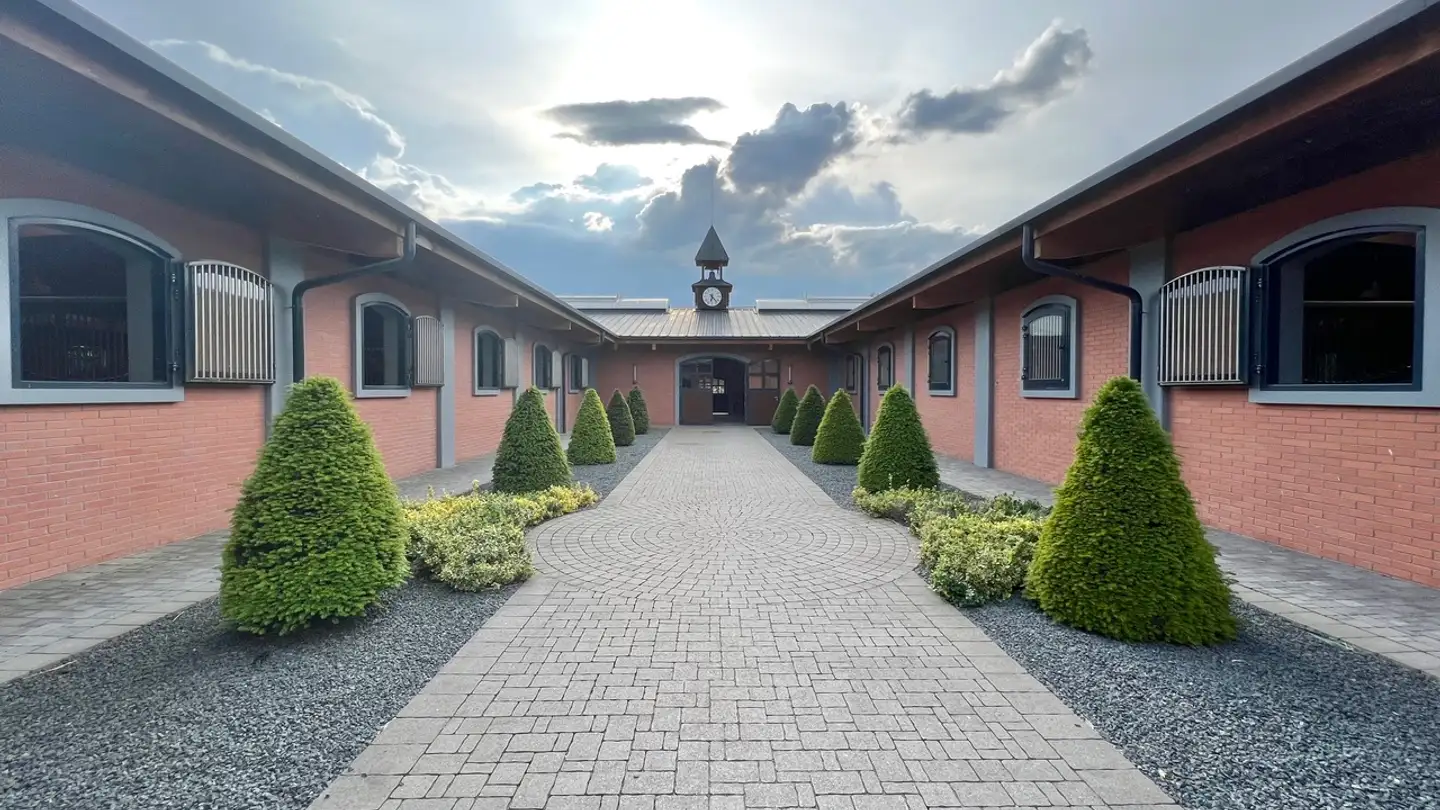 Spazio ufficio in vendita - 4001 Basel - Foto 3