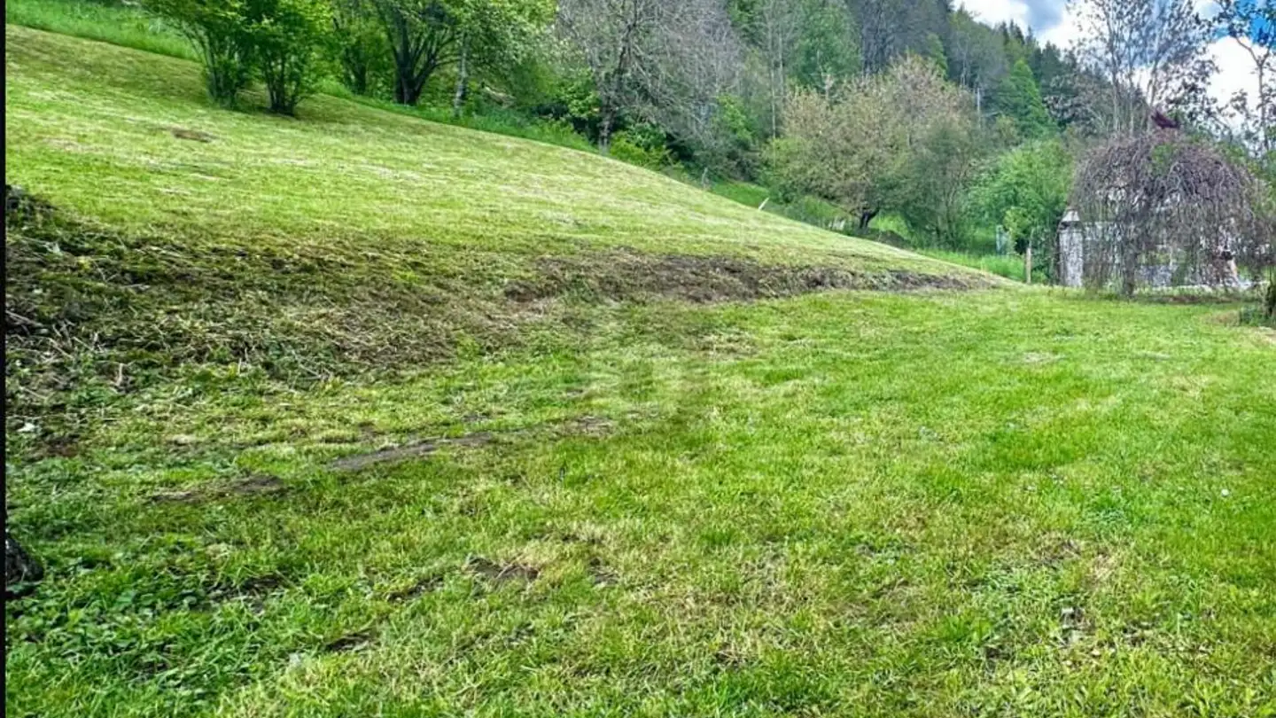 Terreno edificabile commerciale in vendita - 2615 Sonvilier - Foto 2