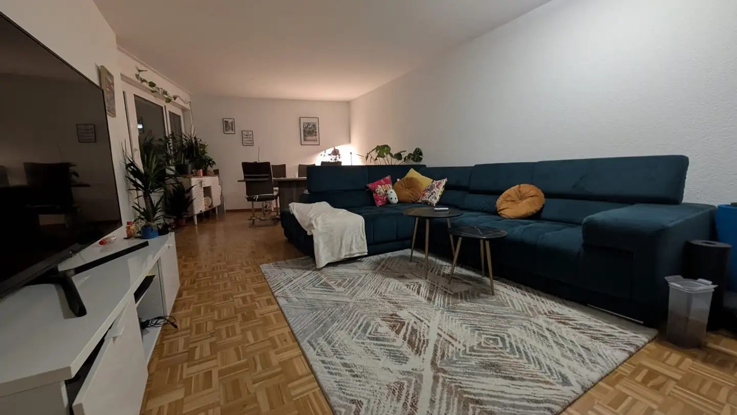 Möblierte Wohnung mieten - Alte Landstrasse 127, 8800 Thalwil