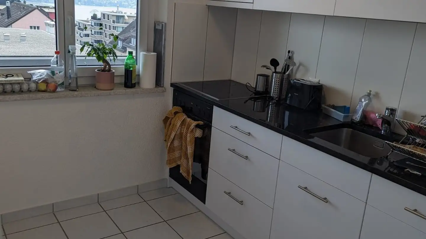 Appartamento ammobiliato in affitto - Alte Landstrasse 127, 8800 Thalwil - Photo 4