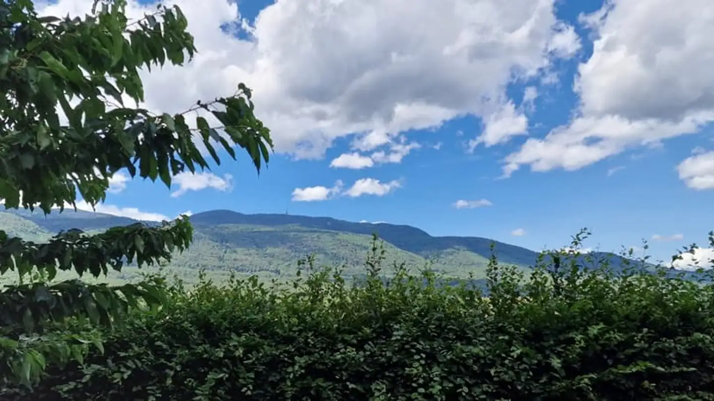 Maison individuelle à vendre - 1275 Chéserex - Photo 3