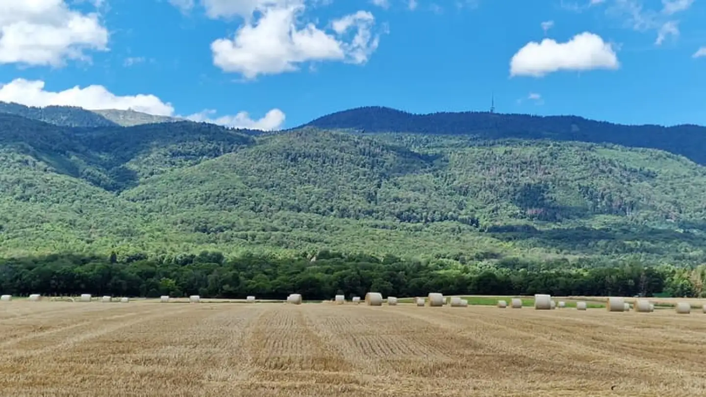 Maison individuelle à vendre - 1275 Chéserex - Photo 4