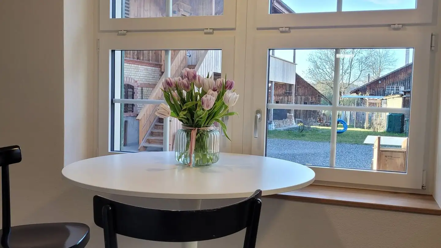 Appartement meublé à louer - Breitenacherstrasse 4a, 8308 Illnau - Photo 3