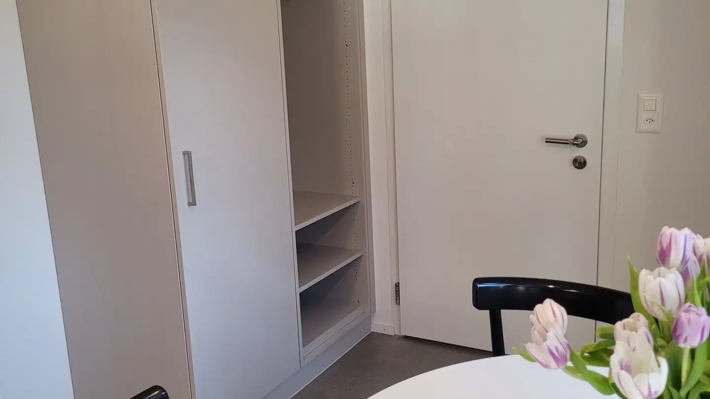 Appartement meublé à louer - Breitenacherstrasse 4a, 8308 Illnau - Photo 4