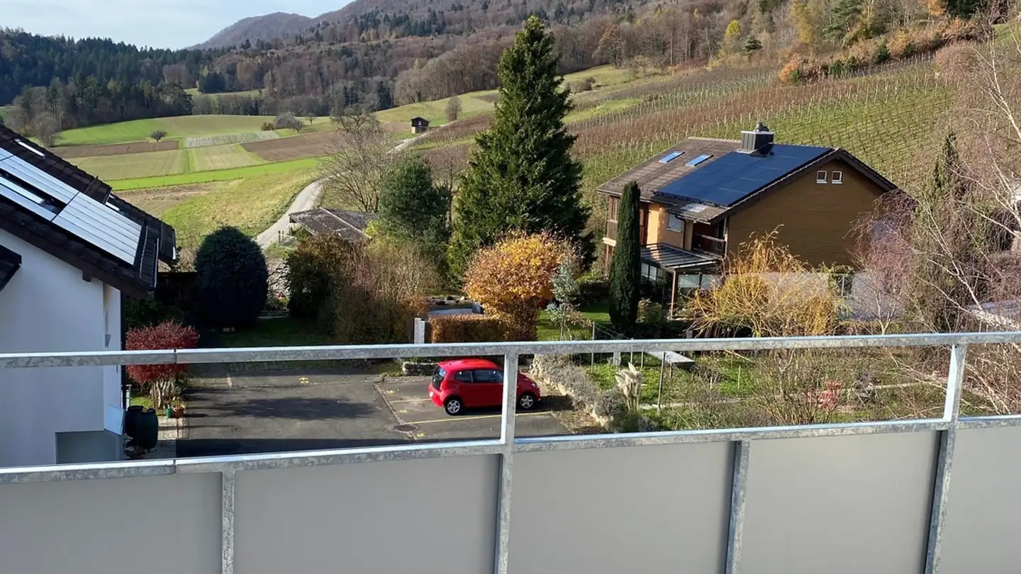 Appartamento in affitto - Hofwiesenstrasse 49, 8113 Boppelsen