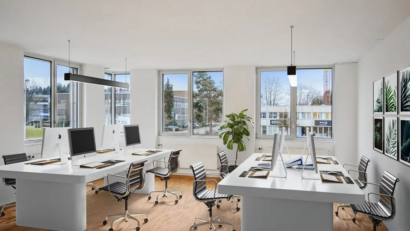 Commercial for rent - Alte Obfelderstrasse 50, 8910 Affoltern am Albis - Photo 2