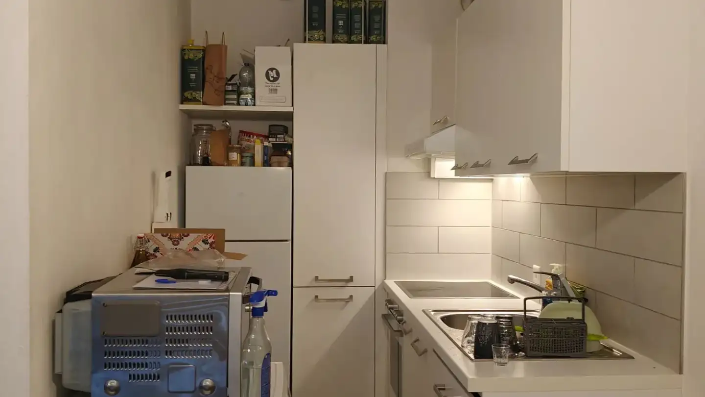 Appartement à louer - Via Giuseppe Cattori 9, 6900 Paradiso - Photo 3