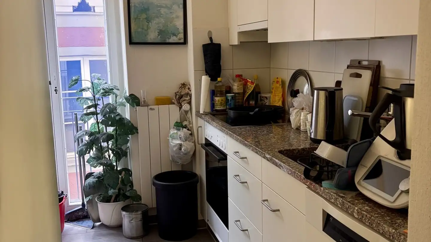 Chambre à louer - 8001 Zürich - Photo 3