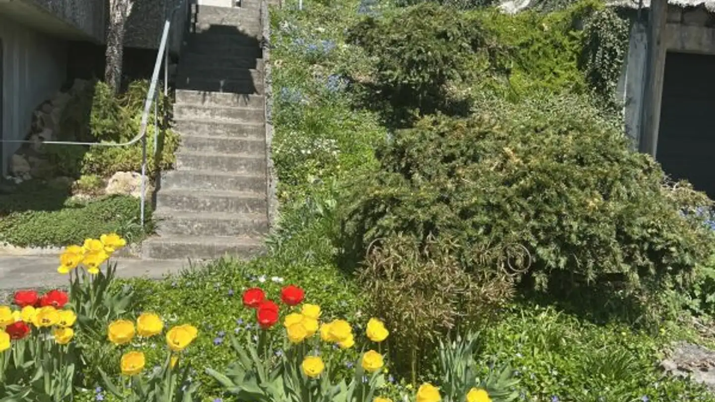 Residential building for sale - Steinenbühl 52, 4417 Ziefen - Photo 3