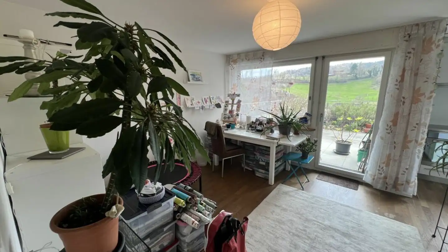 Residential building for sale - Steinenbühl 52, 4417 Ziefen - Photo 4